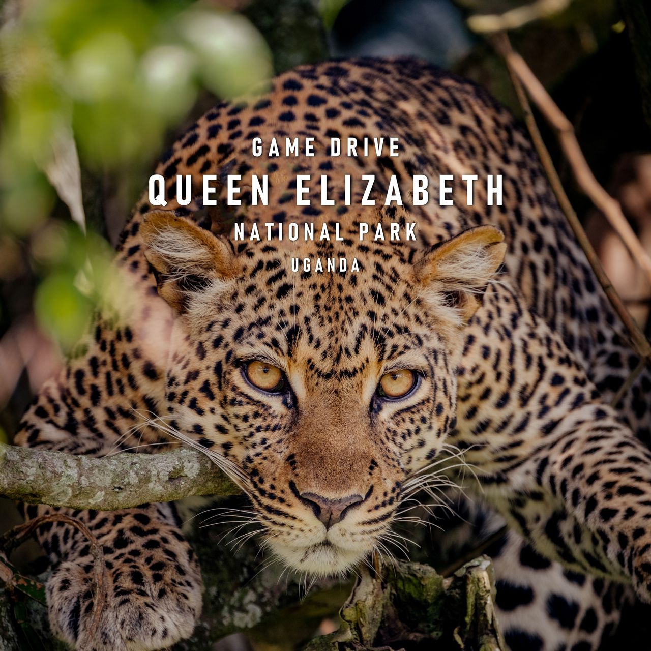Queen Elizabeth National Park
