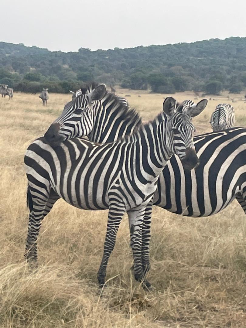 Akagera National Park
