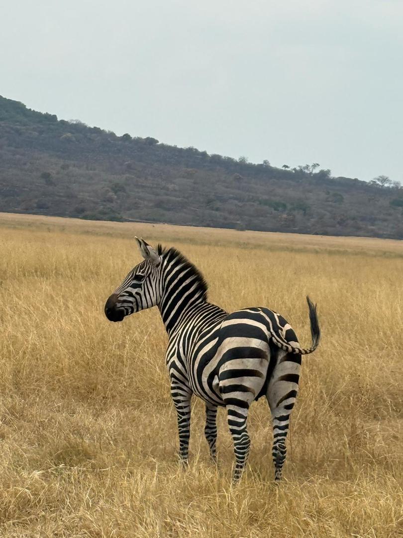 Akagera National Park