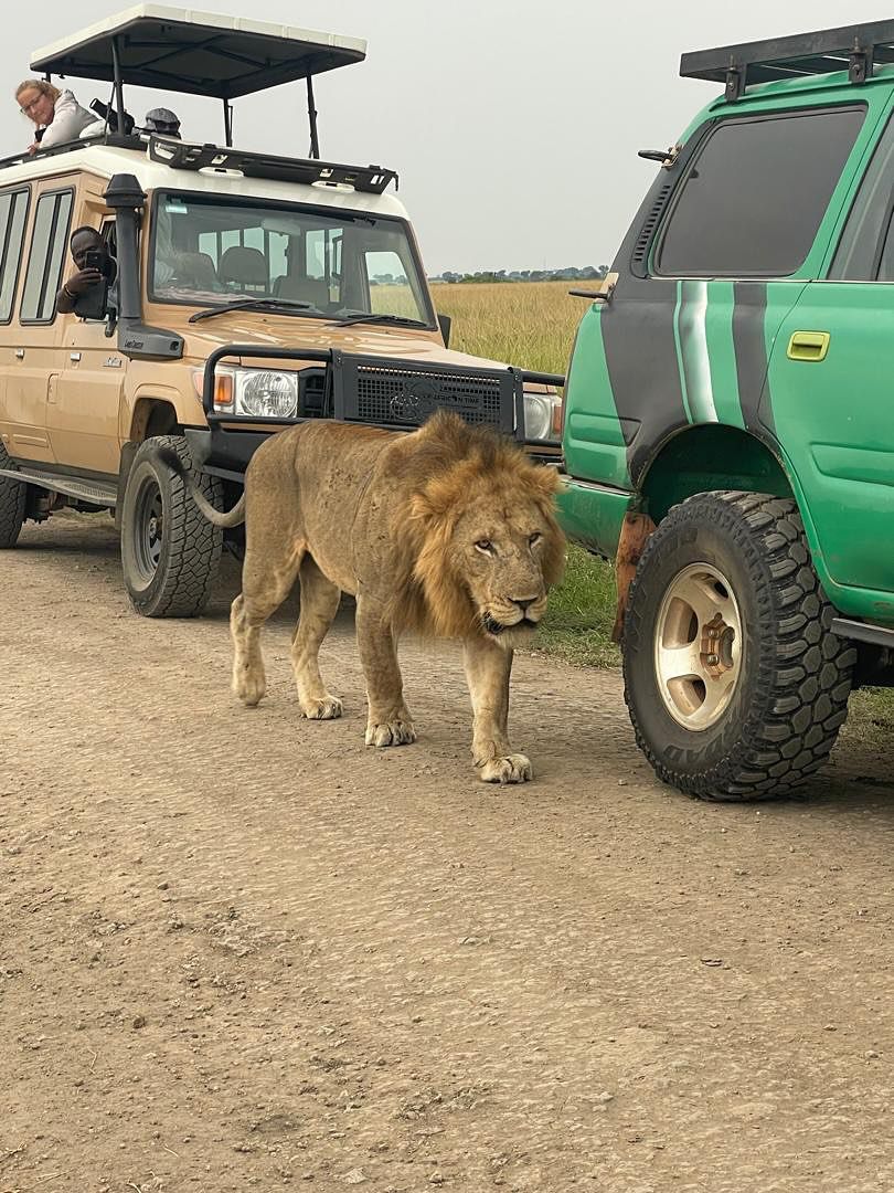 Queen Elizabeth National Park