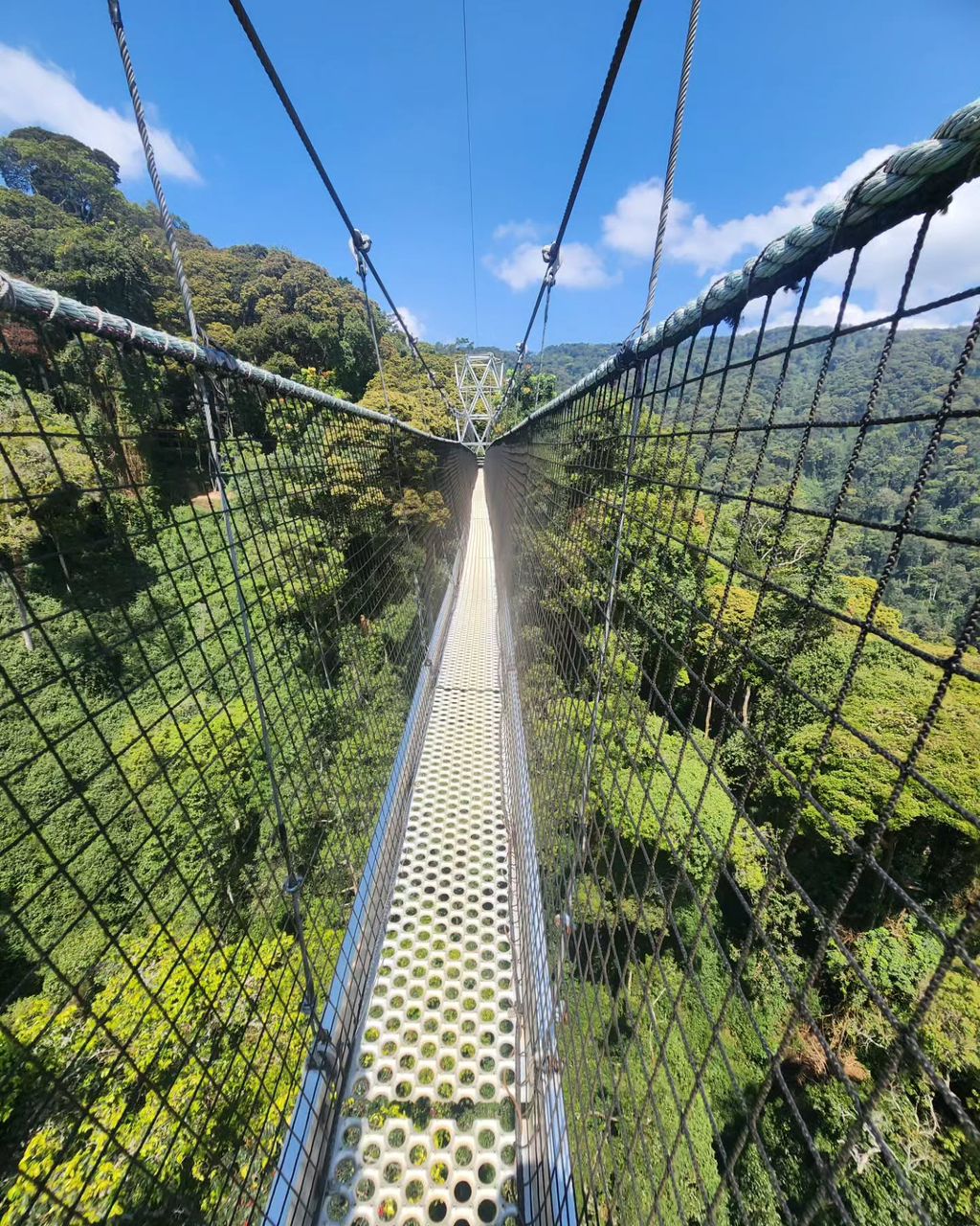 9 Days Rwanda Luxury Flying Safari